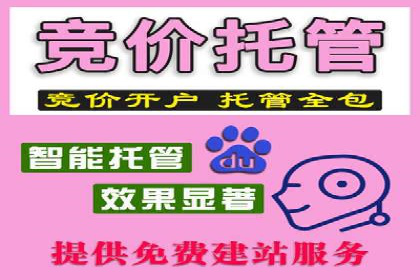 SEM搜索引擎优化：广告创意的策划与执行
