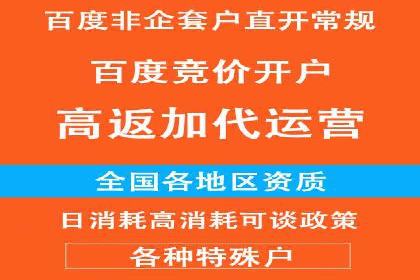 百度推广在电商领域的应用：成功提升销售额的秘诀