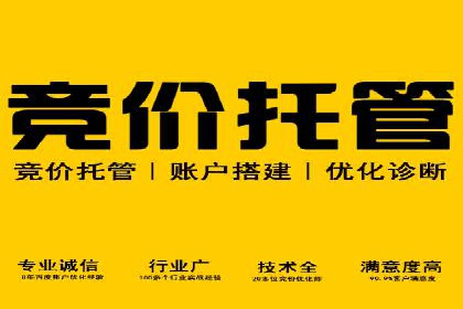 案例分析：SEM营销在竞争激烈行业的应用